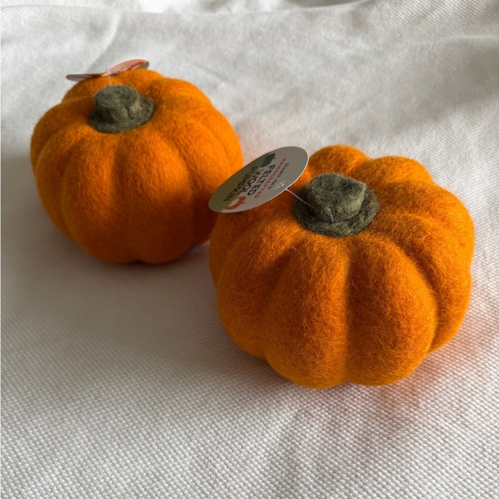 Trader Joe’s Set of Two Orange Felted Wool Pumpkins